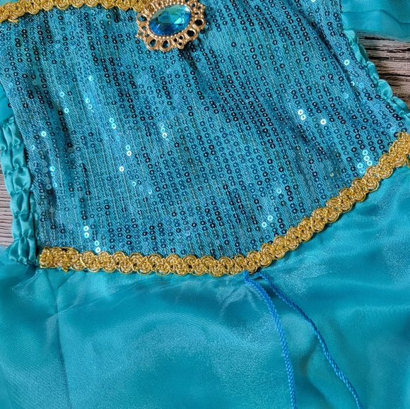 Princess Jasmine First Birthday Outfit Aladdin Cake Smash Outfit Arabian Nights - Picture 6 of 9